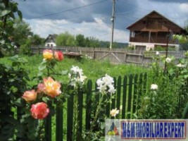 teren-intravilan-3600-mp-de-vanzare-in-bughea-de-jos-arges-4