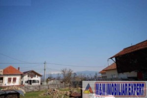 teren-intravilan-3600-mp-de-vanzare-in-bughea-de-jos-arges-5