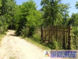 teren-intravilan-6063-mp-3-loturi-de-vanzare-in-bughea-de-jos-arges