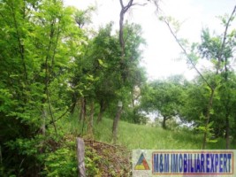 teren-intravilan-6063-mp-3-loturi-de-vanzare-in-bughea-de-jos-arges-9
