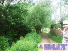 teren-intravilan-6063-mp-3-loturi-de-vanzare-in-bughea-de-jos-arges-13