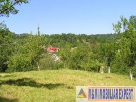 teren-intravilan-6063-mp-3-loturi-de-vanzare-in-bughea-de-jos-arges-1