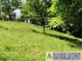 teren-intravilan-6063-mp-3-loturi-de-vanzare-in-bughea-de-jos-arges-2