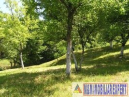 teren-intravilan-6063-mp-3-loturi-de-vanzare-in-bughea-de-jos-arges-3