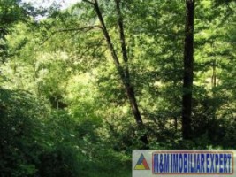 teren-intravilan-6063-mp-3-loturi-de-vanzare-in-bughea-de-jos-arges-4