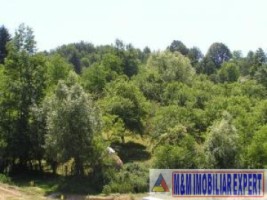 teren-intravilan-6063-mp-3-loturi-de-vanzare-in-bughea-de-jos-arges-5