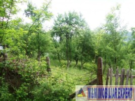 teren-intravilan-6063-mp-3-loturi-de-vanzare-in-bughea-de-jos-arges-6