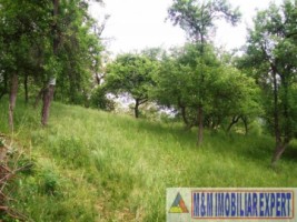 teren-intravilan-6063-mp-3-loturi-de-vanzare-in-bughea-de-jos-arges-8