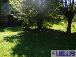 teren-padure-1-ha-de-vanzare-in-bughea-de-jos-arges-2