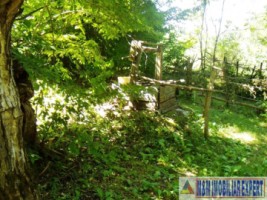 teren-padure-1-ha-de-vanzare-in-bughea-de-jos-arges-3