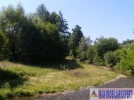 teren-padure-1-ha-de-vanzare-in-bughea-de-jos-arges-13