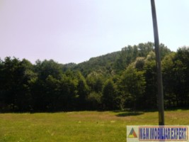 teren-padure-1-ha-de-vanzare-in-bughea-de-jos-arges-14