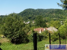 teren-padure-1-ha-de-vanzare-in-bughea-de-jos-arges-10