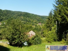 teren-padure-1-ha-de-vanzare-in-bughea-de-jos-arges-11