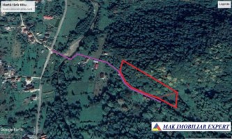 teren-padure-1-ha-de-vanzare-in-bughea-de-jos-arges-16