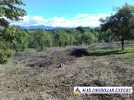 teren-intravilan-5200-mp-de-vanzare-in-bughea-de-jos-ideal-pentru-dezvoltari-rezidentiale-sau-comerciale-3