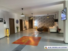 vila-cu-18-camere-si-teren-de-1800-mp-de-vanzare-in-apa-sarata-campulung-muscel-arges-potential-cazare-pentru-80-de-persoane-7