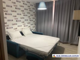 vila-cu-18-camere-si-teren-de-1800-mp-de-vanzare-in-apa-sarata-campulung-muscel-arges-potential-cazare-pentru-80-de-persoane-13
