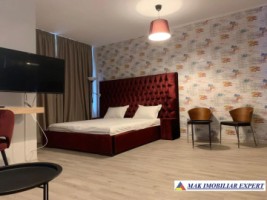 vila-cu-18-camere-si-teren-de-1800-mp-de-vanzare-in-apa-sarata-campulung-muscel-arges-potential-cazare-pentru-80-de-persoane-16