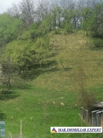teren-de-3900-mp-intraextravilan-de-vanzare-in-campulung-muscel-arges-ideal-pentru-dezvoltari-rezidentiale-sau-agricole