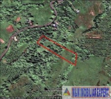 teren-de-221-ha-9-loturi-intraextravilan-de-vanzare-in-apa-sarata-campulung-muscel-arges