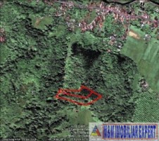 teren-de-221-ha-9-loturi-intraextravilan-de-vanzare-in-apa-sarata-campulung-muscel-arges-1
