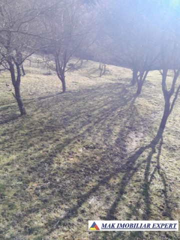 teren-de-221-ha-9-loturi-intraextravilan-de-vanzare-in-apa-sarata-campulung-muscel-arges-15