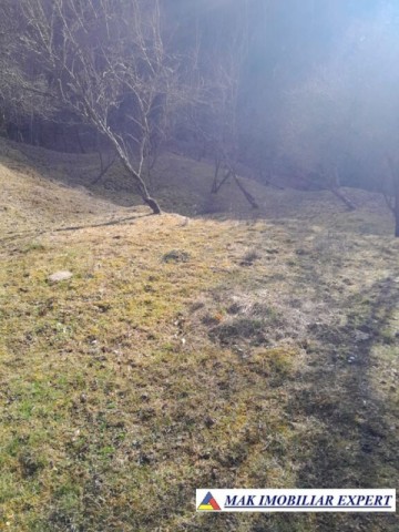 teren-de-221-ha-9-loturi-intraextravilan-de-vanzare-in-apa-sarata-campulung-muscel-arges-17