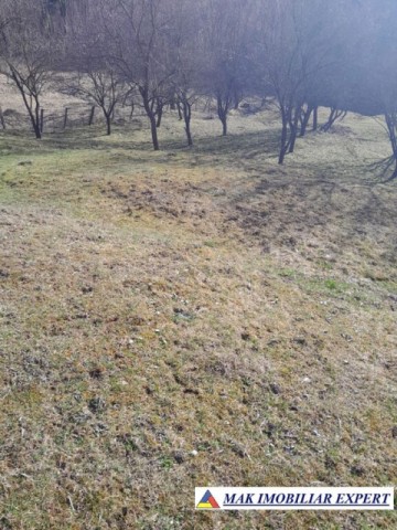 teren-de-221-ha-9-loturi-intraextravilan-de-vanzare-in-apa-sarata-campulung-muscel-arges-13