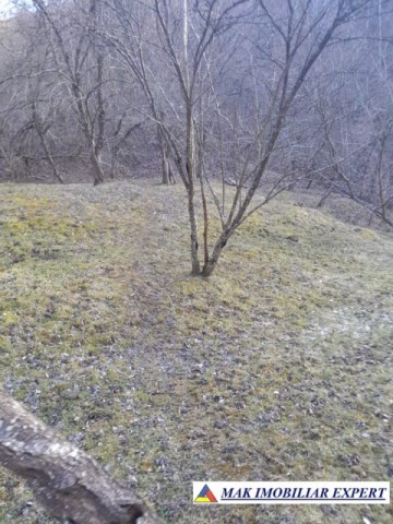 teren-de-221-ha-9-loturi-intraextravilan-de-vanzare-in-apa-sarata-campulung-muscel-arges-16