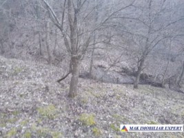 teren-de-221-ha-9-loturi-intraextravilan-de-vanzare-in-apa-sarata-campulung-muscel-arges-14