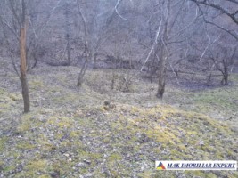teren-de-221-ha-9-loturi-intraextravilan-de-vanzare-in-apa-sarata-campulung-muscel-arges-18