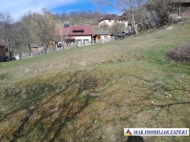 teren-de-221-ha-9-loturi-intraextravilan-de-vanzare-in-apa-sarata-campulung-muscel-arges-22
