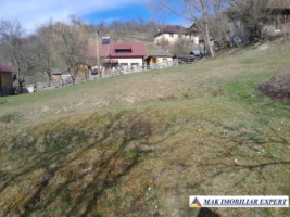 teren-de-221-ha-9-loturi-intraextravilan-de-vanzare-in-apa-sarata-campulung-muscel-arges-21