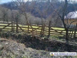 teren-de-221-ha-9-loturi-intraextravilan-de-vanzare-in-apa-sarata-campulung-muscel-arges-23