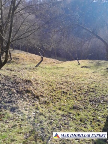 teren-de-221-ha-9-loturi-intraextravilan-de-vanzare-in-apa-sarata-campulung-muscel-arges-19