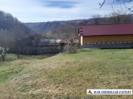 teren-de-221-ha-9-loturi-intraextravilan-de-vanzare-in-apa-sarata-campulung-muscel-arges-25