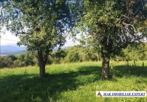 teren-intravilan-8522-mp-de-vanzare-pe-calea-targovistei-campulung-muscel-arges-ideal-pentru-dezvoltari-rezidentiale-sau-comerciale