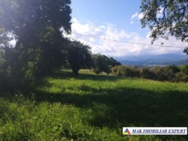 teren-intravilan-8522-mp-de-vanzare-pe-calea-targovistei-campulung-muscel-arges-ideal-pentru-dezvoltari-rezidentiale-sau-comerciale-6