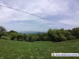 teren-intravilan-8522-mp-de-vanzare-pe-calea-targovistei-campulung-muscel-arges-ideal-pentru-dezvoltari-rezidentiale-sau-comerciale-2