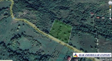 teren-intravilan-8522-mp-de-vanzare-pe-calea-targovistei-campulung-muscel-arges-ideal-pentru-dezvoltari-rezidentiale-sau-comerciale-11