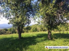 teren-intravilan-8522-mp-de-vanzare-pe-calea-targovistei-campulung-muscel-arges-ideal-pentru-dezvoltari-rezidentiale-sau-comerciale-8