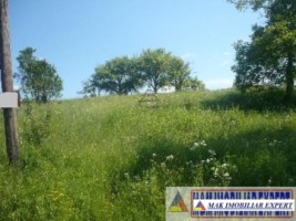 teren-intravilan-5072-mp-de-vanzare-pe-calea-targovistei-campulung-muscel-arges-ideal-pentru-dezvoltari-rezidentiale-sau-comerciale-6