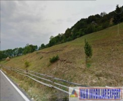 vand-teren-1-ha-intravilan-dambovicioara-arges-2