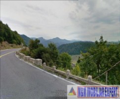 vand-teren-1-ha-intravilan-dambovicioara-arges-3