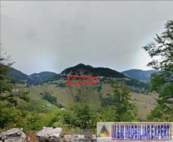 vand-teren-1-ha-intravilan-dambovicioara-arges-6