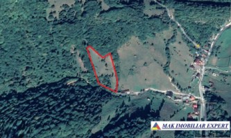 teren-extravilan-de-105-ha-de-vanzare-in-dambovicioara-arges-ideal-pentru-dezvoltari-agricole-si-turistice-1