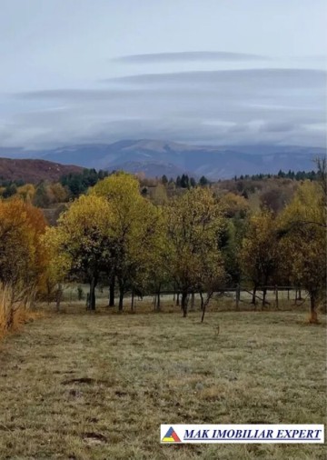 teren-2600-mp-intra-extravilan-bughea-de-jos
