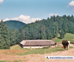 domeniu-cu-2-pensiuni-20-camere-si-10-ha-teren-de-vanzare-in-dealul-sasului-dambovicioara-potential-turistic-exceptional-16