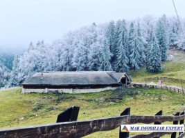 domeniu-cu-2-pensiuni-20-camere-si-10-ha-teren-de-vanzare-in-dealul-sasului-dambovicioara-potential-turistic-exceptional-15